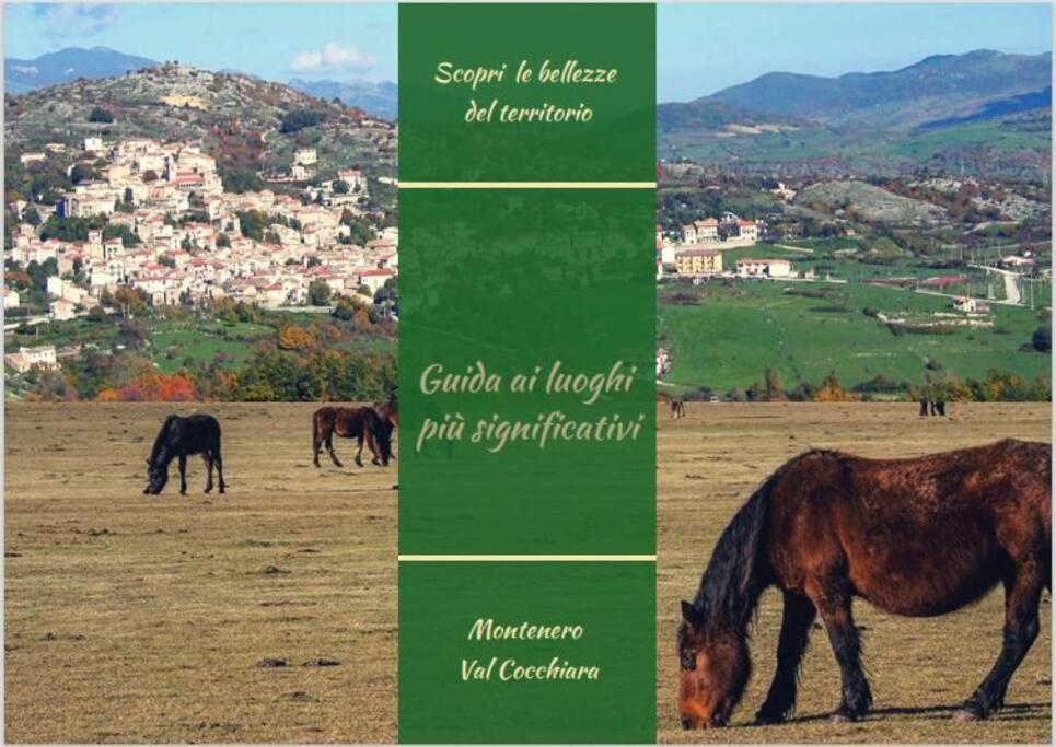 Montenero Val CocchiaraIl Borgo Della Zittola别墅 外观 照片